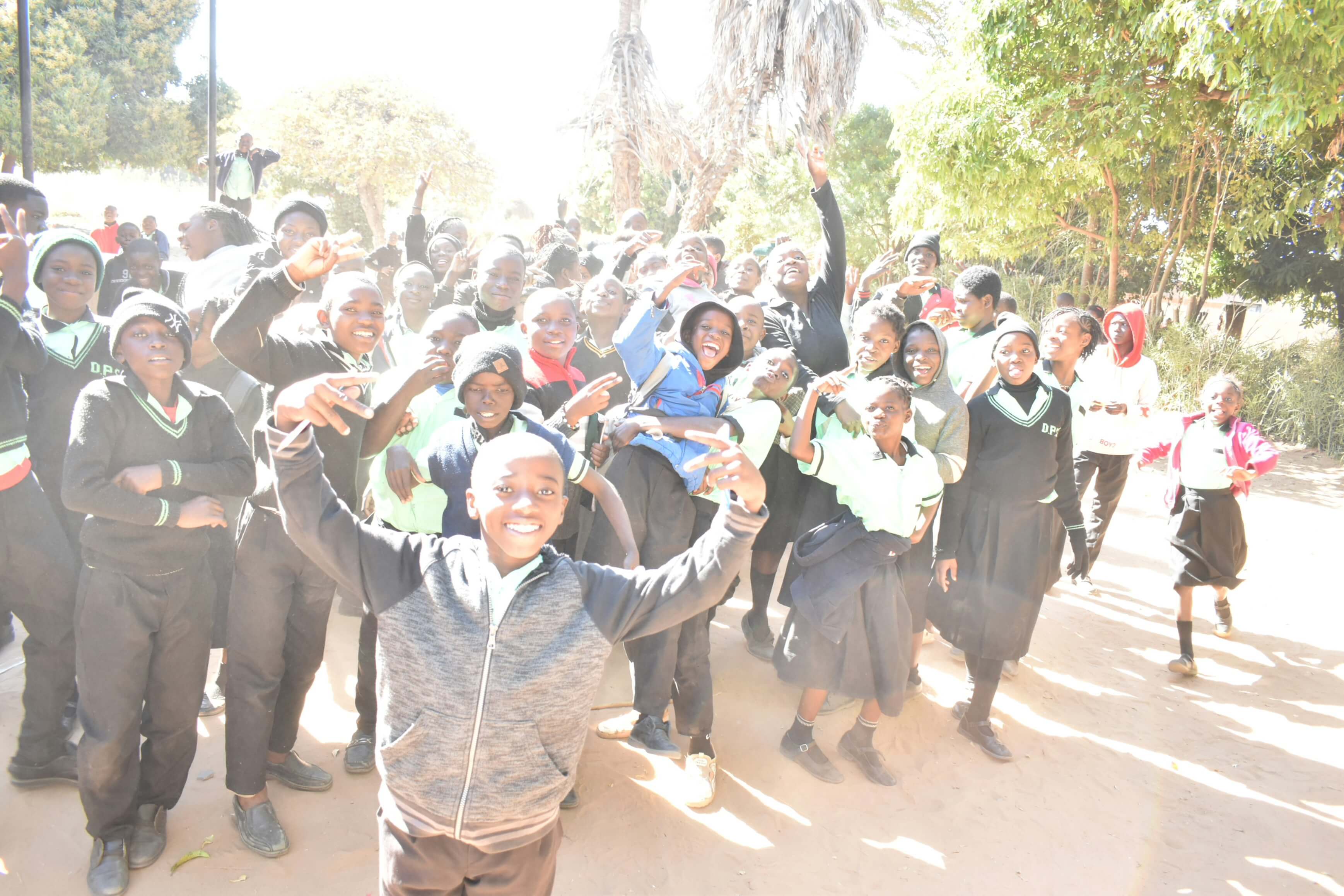 Group learning activity